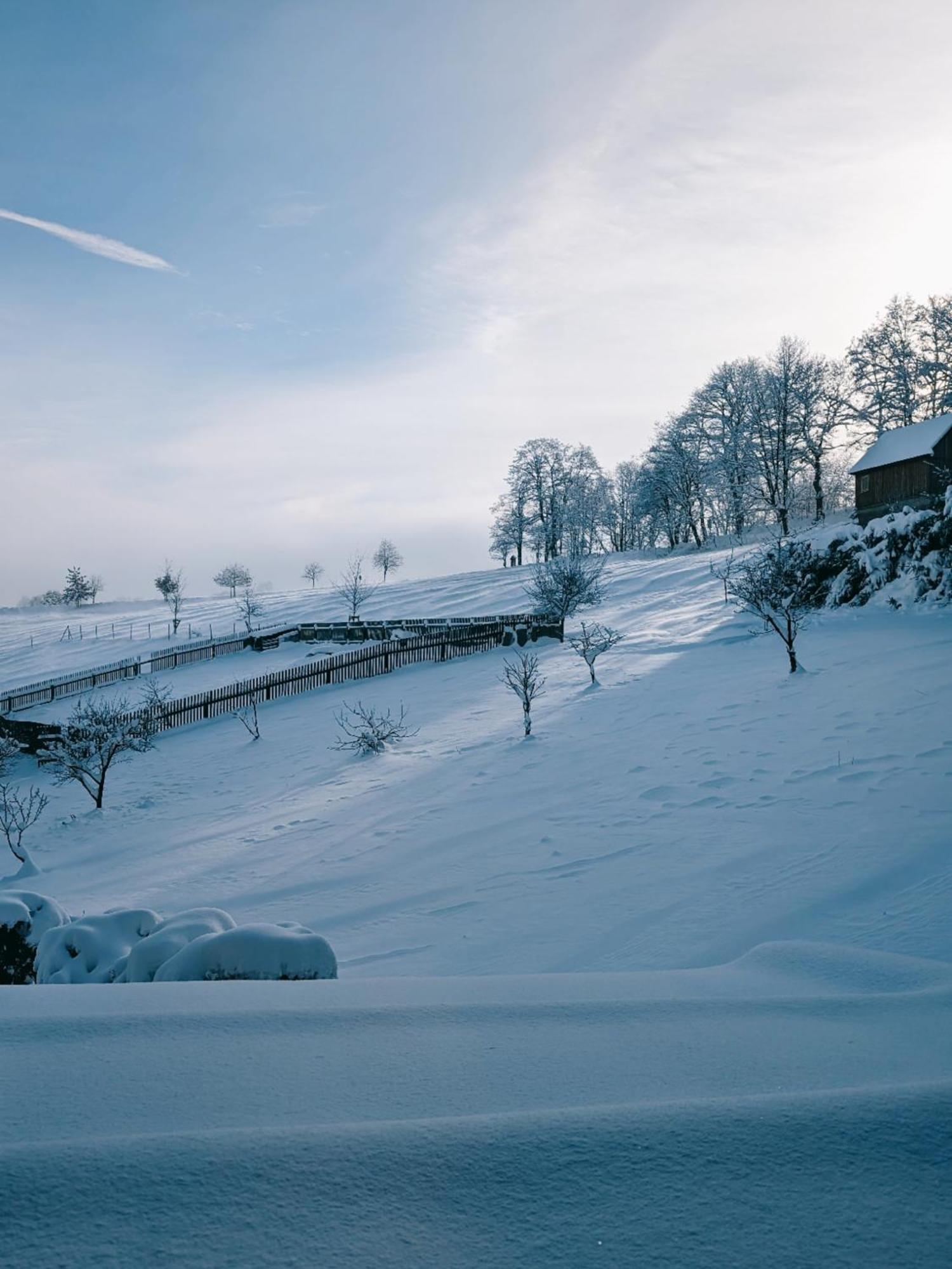 Landhaus Seiffen Exteriér fotografie
